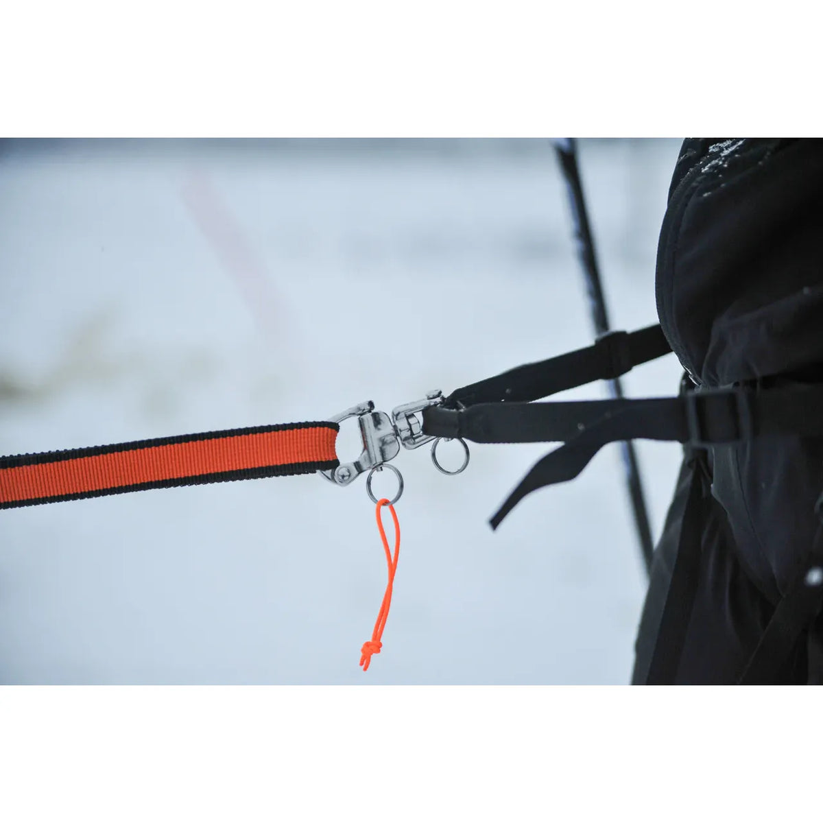 Non-stop Dogwear Loype Belt Pro