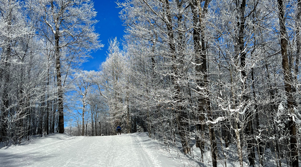 Cold Ski Wax Application