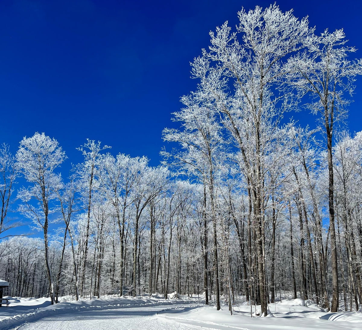 Mt. Itasca JNQ Wax Recap