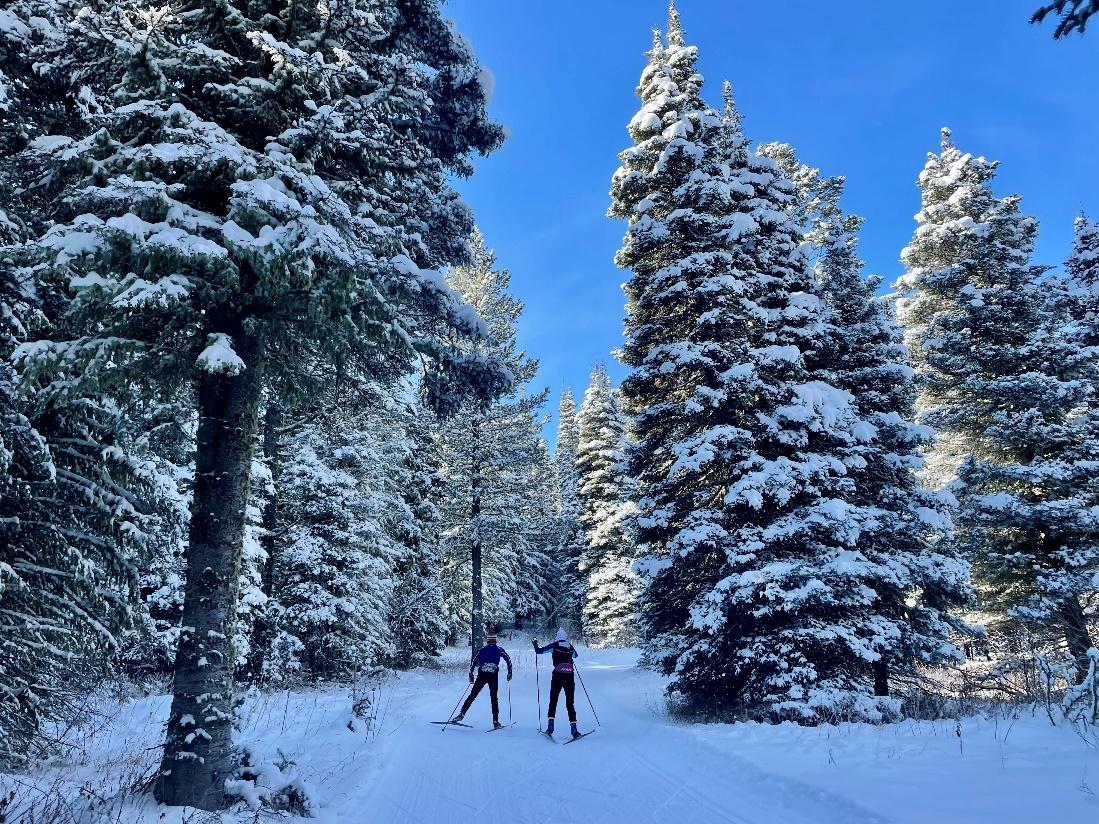 Top Five Tips to Help You Transition Back To Snow Skiing